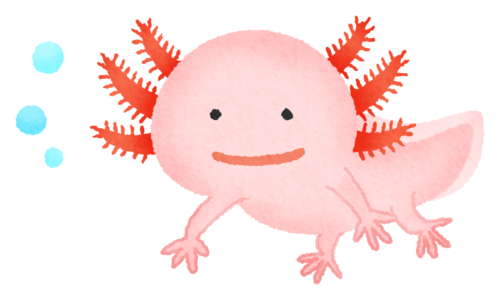 Axolotl clipart