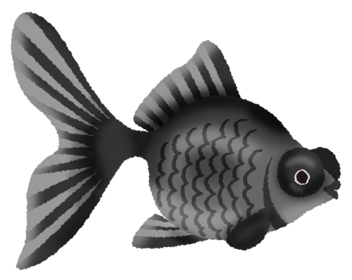 Black moor goldfish clipart