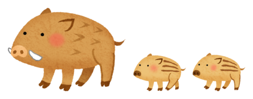 Mom and baby boars clipart