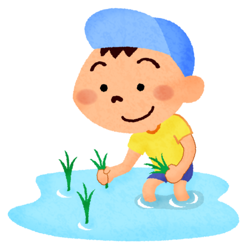 Boy planting rice clipart