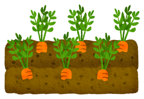 Carrot field clipart