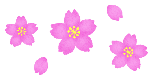 Cherry blossoms clipart