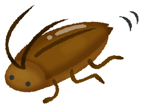Cockroach clipart