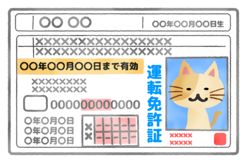 Driver’s license (cat) clipart