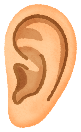 Ear clipart