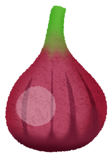 fig clipart
