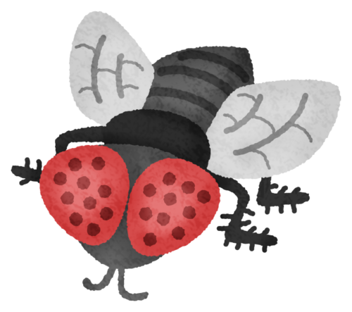 Fly clipart