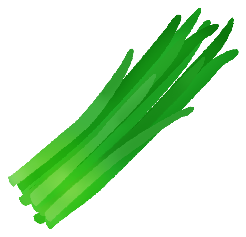 Free Clipart of Garlic chives