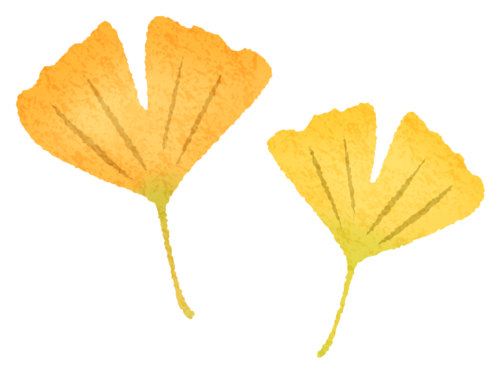 Ginkgo leaves clipart