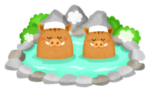 Boar couple in hot spring (New Year’s illustration) clipart