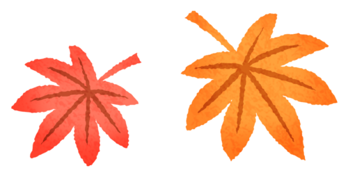 Japanese maple leaves 02 clipart