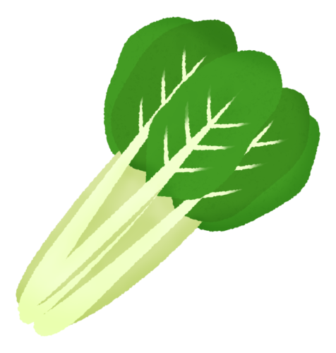 japanese mustard spinach clipart