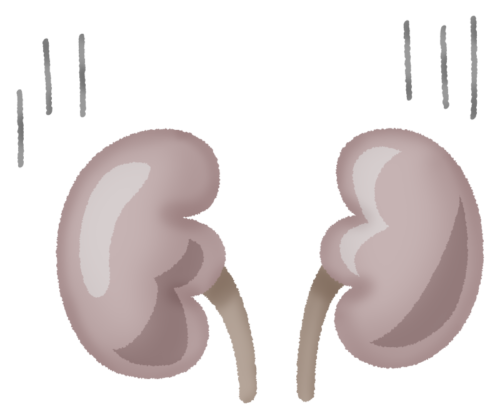 kidneys (sick) clipart