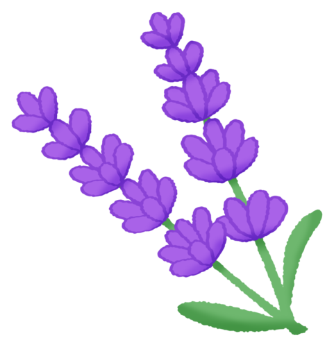 Lavender 2 clipart