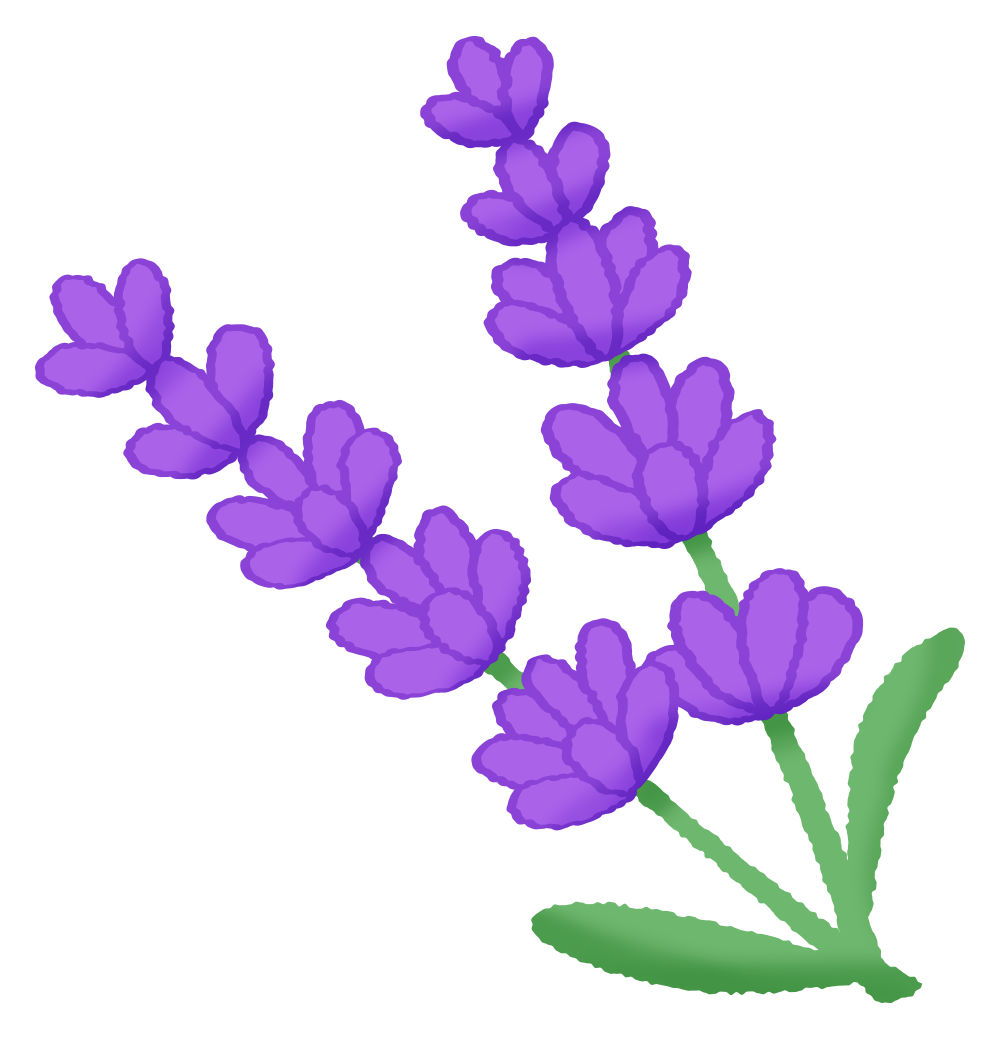 Free Clipart of Lavender 2