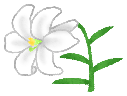 Lily clipart