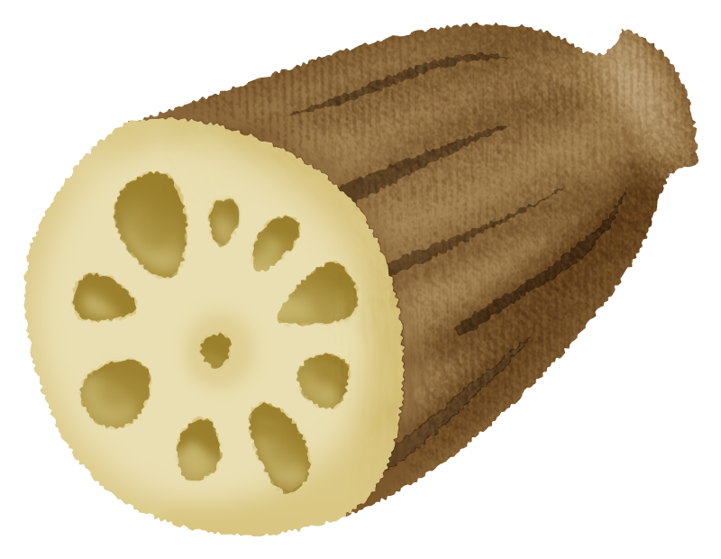 Free Clipart of Lotus root