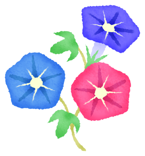 Morning glory clipart