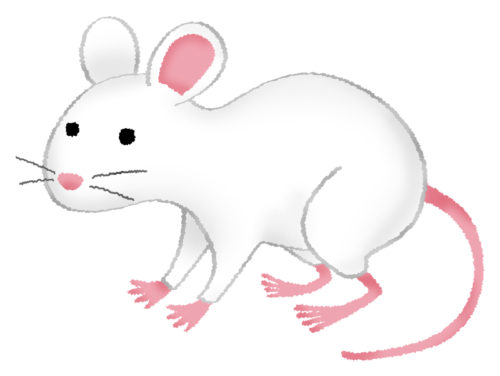 White mouse clipart