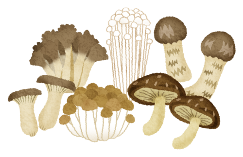 Various mushrooms clipart