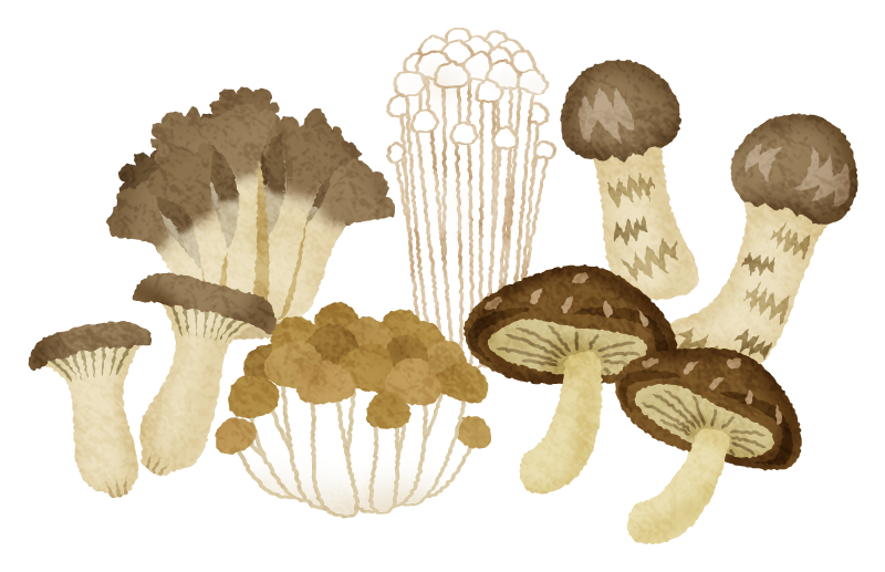 Free Clipart of Various mushrooms