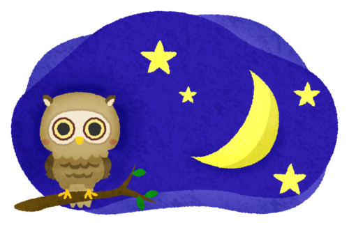 Owl in the night sky clipart
