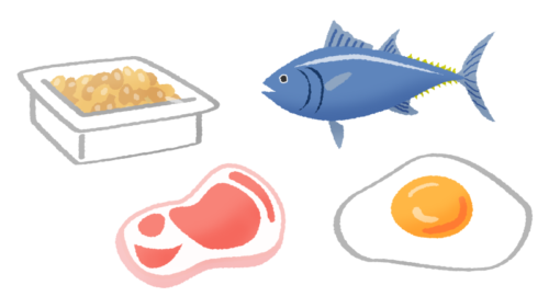 protein (nutrients) clipart