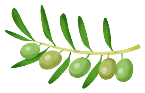 Olive clipart