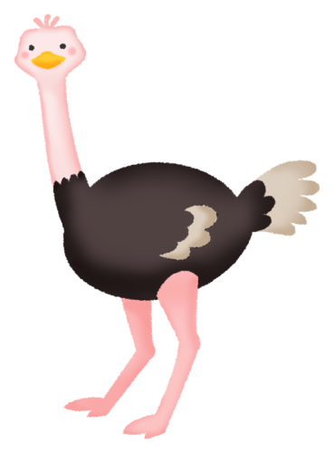 Ostrich clipart