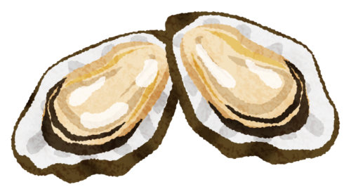 Oysters clipart