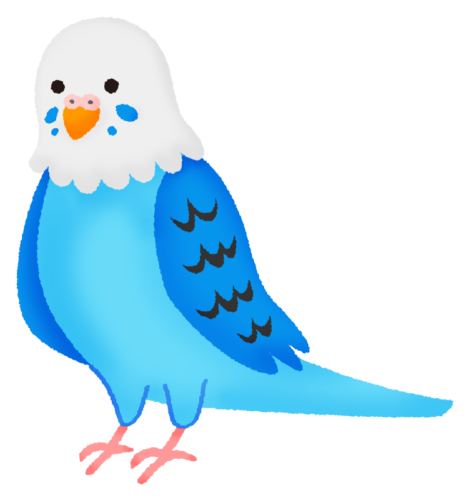 Parakeet (blue) clipart