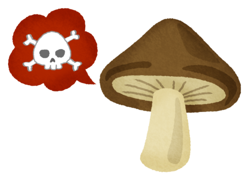 Poisonous mushroom / Toadstool 02 clipart