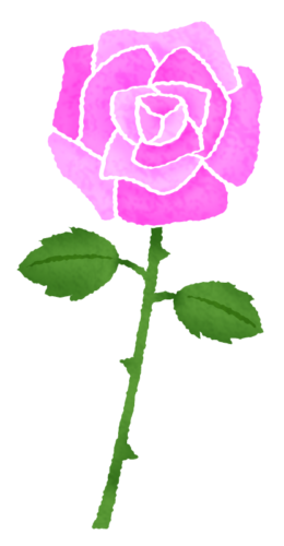 Pink rose clipart