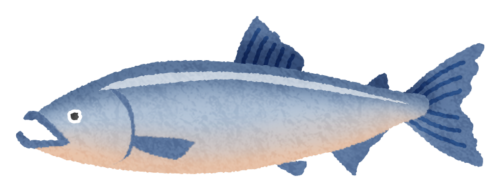 Salmon clipart