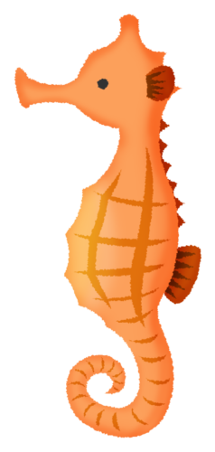 Seahorse clipart