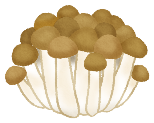 Shimeji mushroom clipart