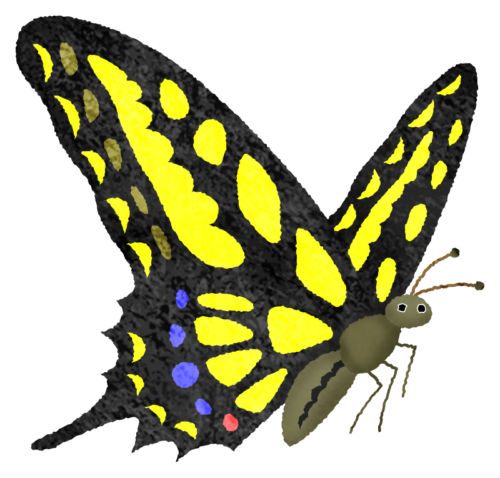 Swallowtail butterfly clipart