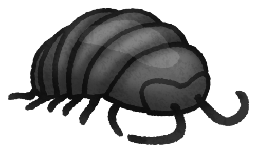 Woodlouse / Pill bug / Roly-poly clipart