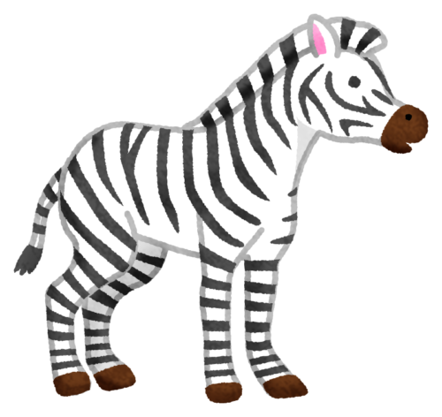 Zebra clipart