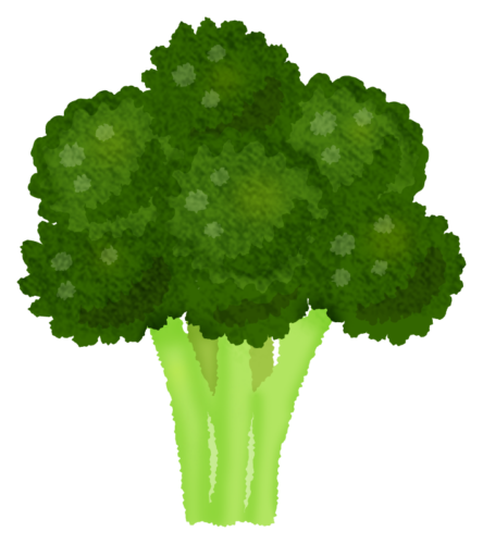 Brócoli clipart