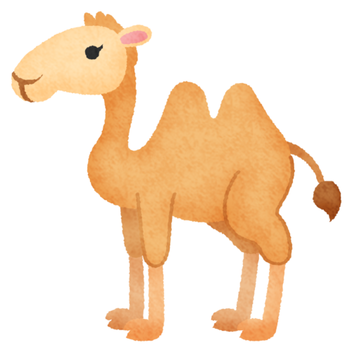 Camello clipart