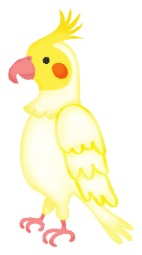 Cockatiel (amarillo) clipart