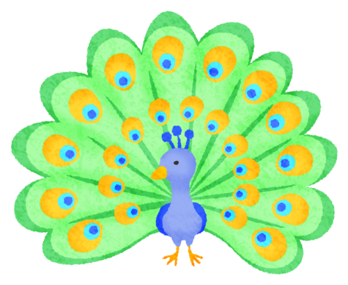 Pavo real clipart