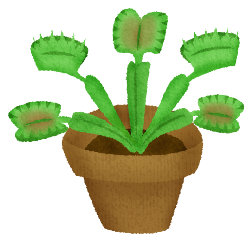 Dionaea muscipula / Venus atrapamoscas clipart
