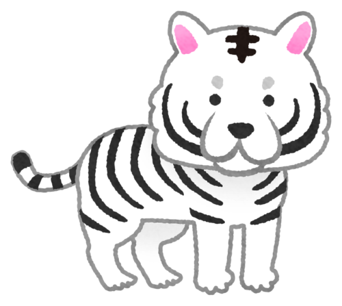 Tigre blanco clipart