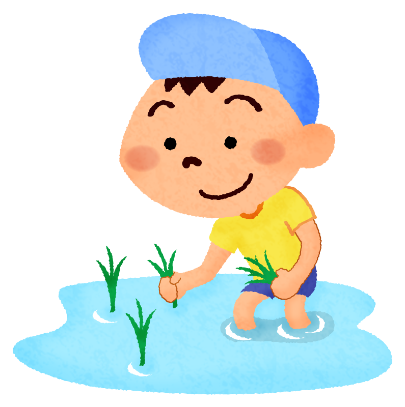 Niño plantando arroz