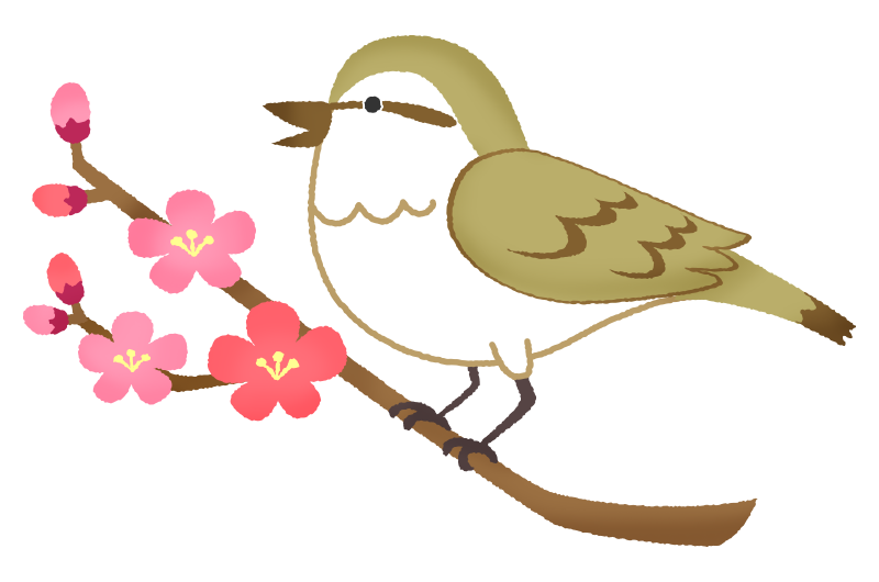 Bush warbler