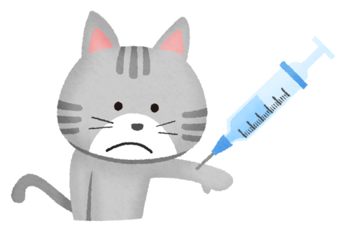 猫の予防接種のイラスト