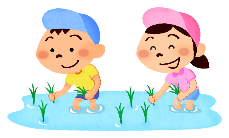 Niños plantando arroz