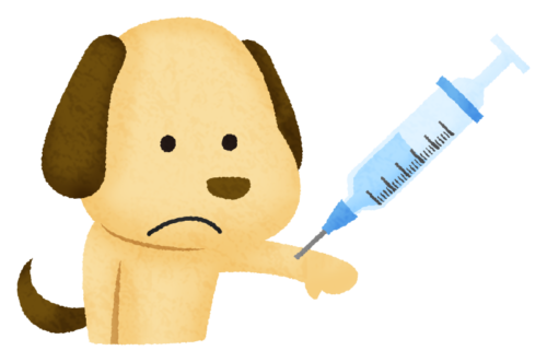 犬の予防接種のイラスト